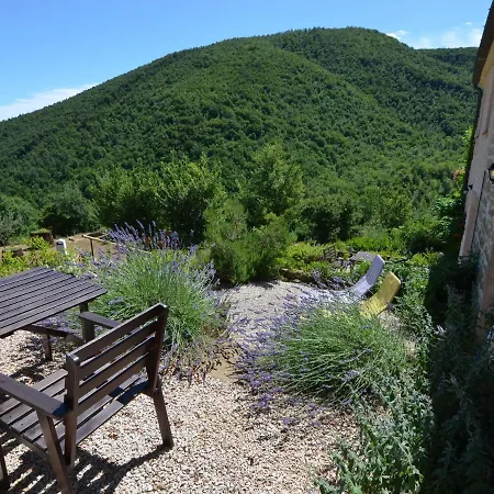 Ferienhaus Quaint Cottage In Pergola With Garden